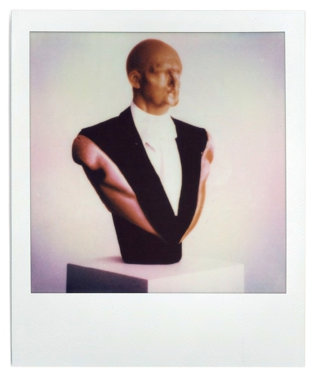 Buste fictif de la série Les fascistes, Polaroïd 1 sur 15